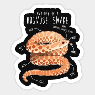 Albino Hognose Snake Anatomy Sticker